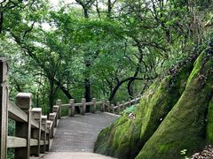 -灵岩山风景区