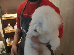 -PETKIT小佩宠物·低压洗护(国顺东路店)