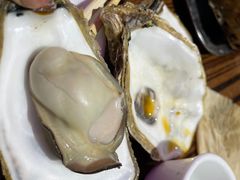 -蚝堡海鲜·威海菜·海肠捞饭·烧烤·亚洲吃蚝公司(幸福门店)