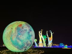 -空港花田景区