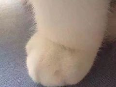 -风味烧烤(泰富店)