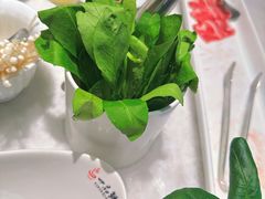 藏红花-一品鲜海鲜火锅(海信广场店)
