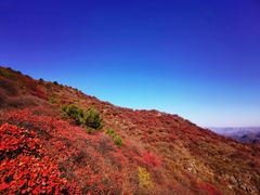 -水峪民俗村