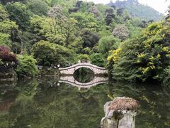 -黔灵山公园