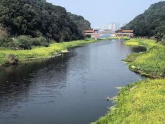 -乐山大佛风景名胜区乌尤寺南门-售票点