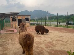 -本溪汤沟绿石谷森林公园