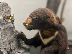 -昆明动物博物馆