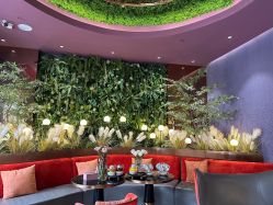 -花隐·美芙炫海菲秀皮肤管理中心