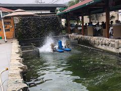 -京北渔家傲