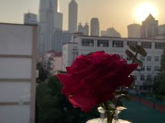 -双季花艺园艺市场(浦东店)