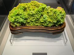 -安徽省地质博物馆