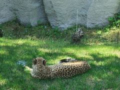 -北京野生动物园