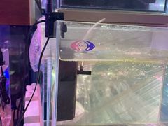 -双季花艺园艺市场(浦东店)