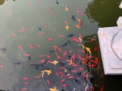 -西安华清御汤酒店