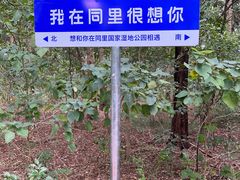 -同里国家湿地公园