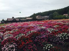 -富田农场