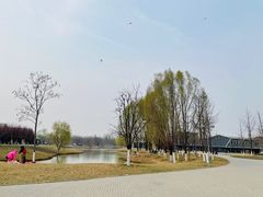 -西安浐灞国家湿地公园