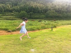 -瑞安圣井山景区