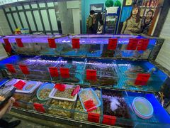 水产区-金海湾海鲜排档(朱家尖店)