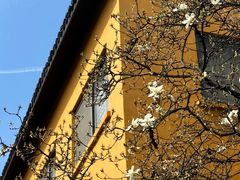 -龙华寺