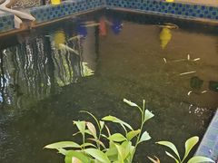 -马洛雷勒花园