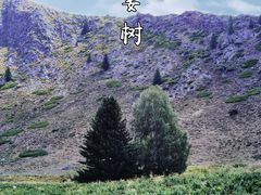 -可可托海景区