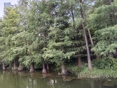 -荔枝公园(福田区)