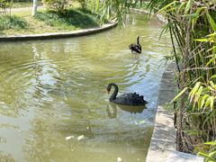 -上海交通大学(闵行校区)