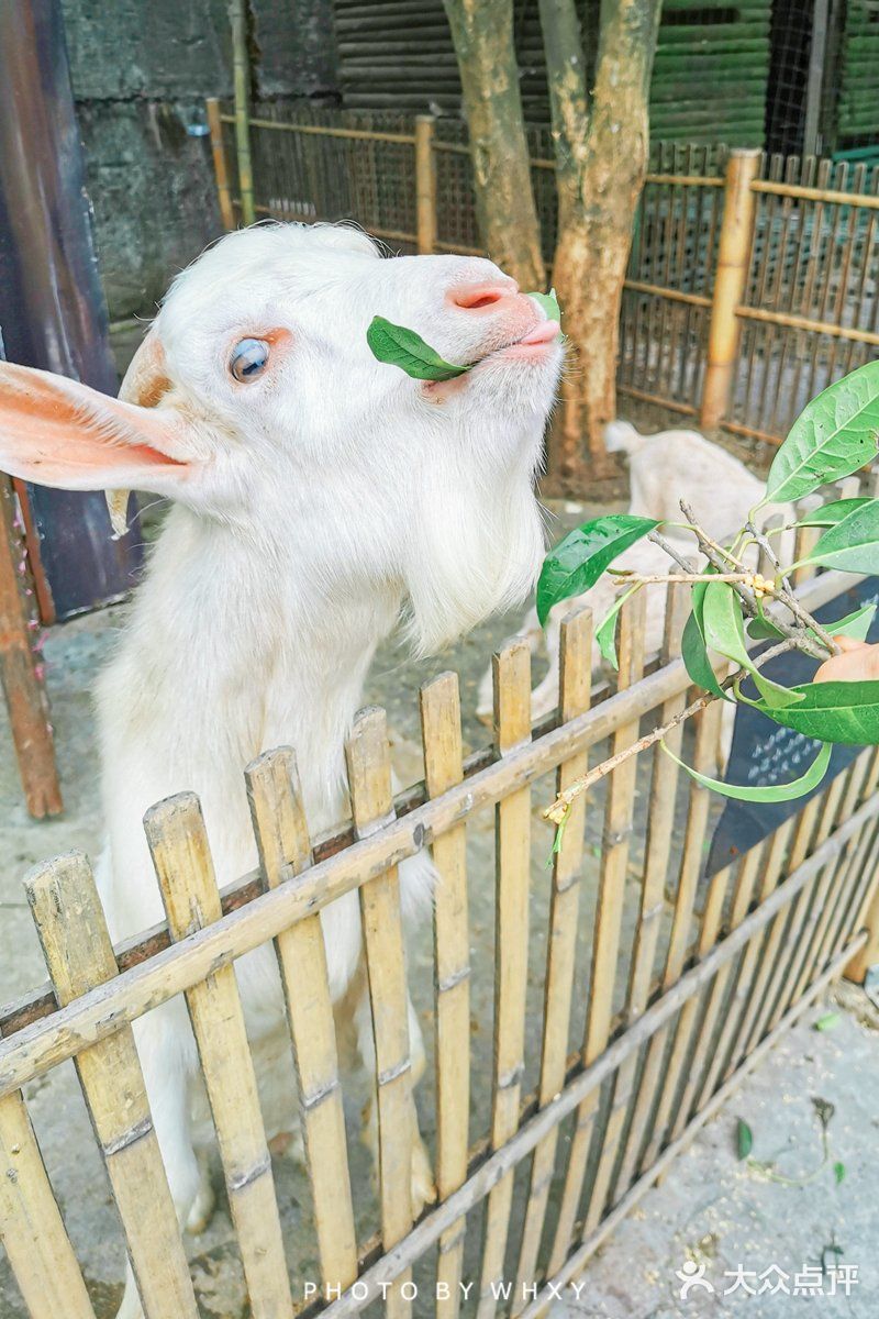 萧山天域开元观堂酒店|  五一杭州周边度假好去处