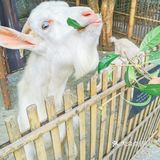 萧山天域开元观堂酒店|  五一杭州周边度假好去处