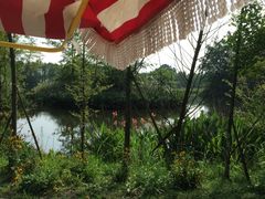 -桤木河湿地公园