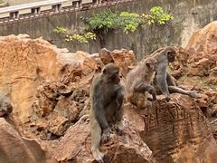 -昆明动物园