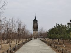 -姚广孝墓塔