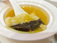 小米海参花胶汤-桃园盛宴·岭南粤菜·手工茶点(南庄店)