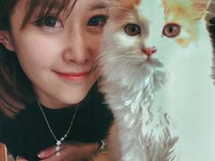 -平行世界·猫咖(首经贸店)