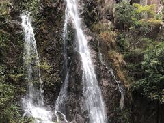 -永泰中国云顶