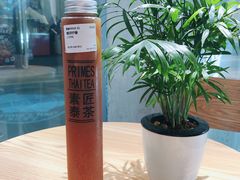 -素匠泰茶(三里屯SOHO工体奶茶店)