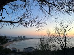 -山东大学(威海校区)