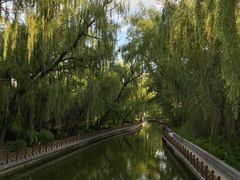 -迎泽公园