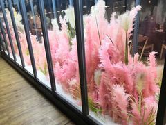 -拈菜(观音桥阳光世纪店)
