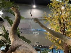 -湖南省地质博物馆