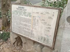 -千岛湖石林