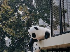 -嫩芽 ·地道重庆菜(十八梯露台夜景店)