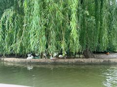 -洛阳市隋唐城遗址植物园