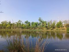 -五甲塘生态湿地公园