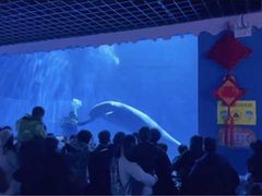 -多彩贵州城极地海洋世界