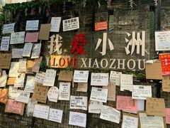 -小洲村