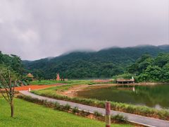 -广州市石门国家森林公园