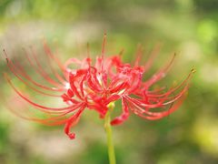 -白塘生态植物园