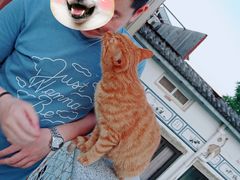 -喵屿·大理花园猫咖